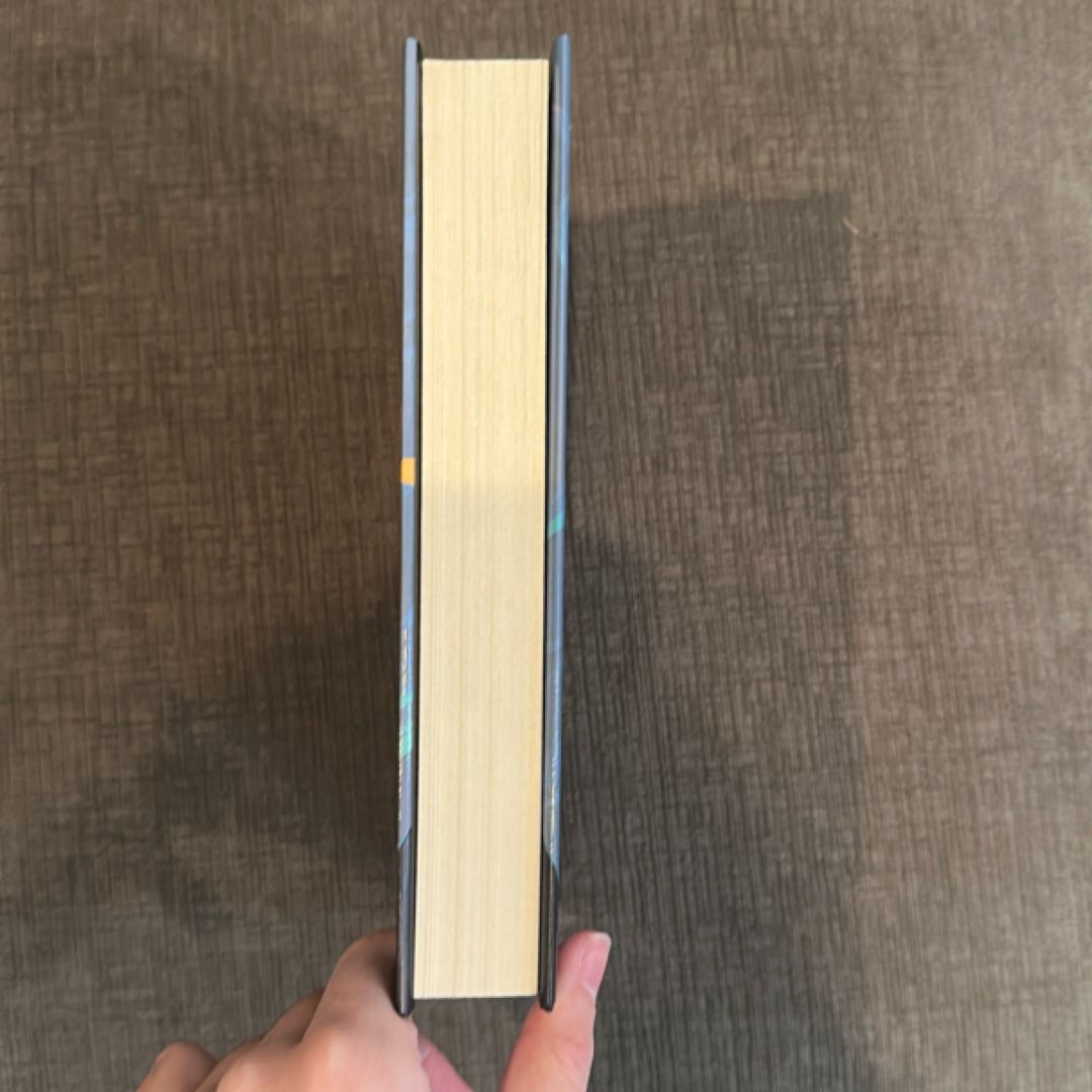 Lonely Castle in the Mirror