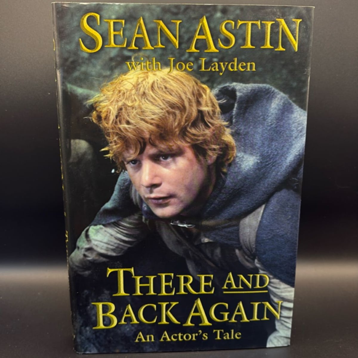 There and Back Again by Sean Astin; Joe Layden, Hardcover | Pangobooks