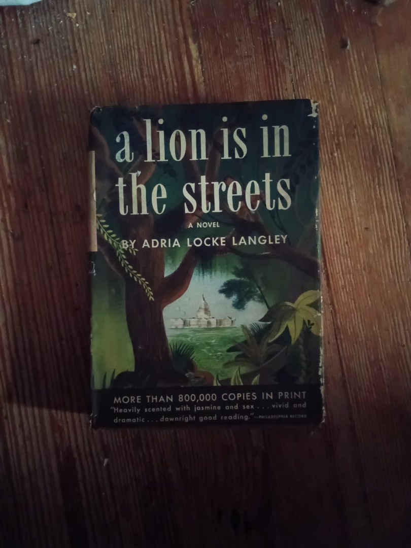A Lion is in the Street