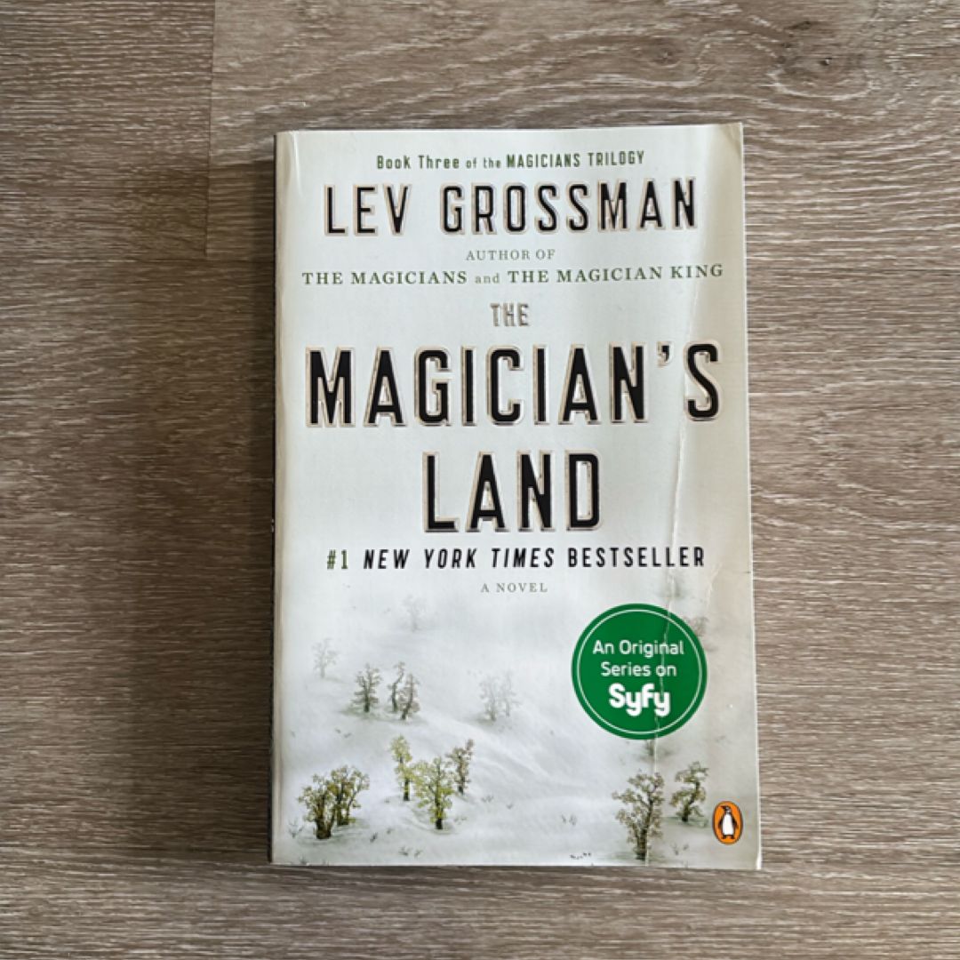 The Magician's Land