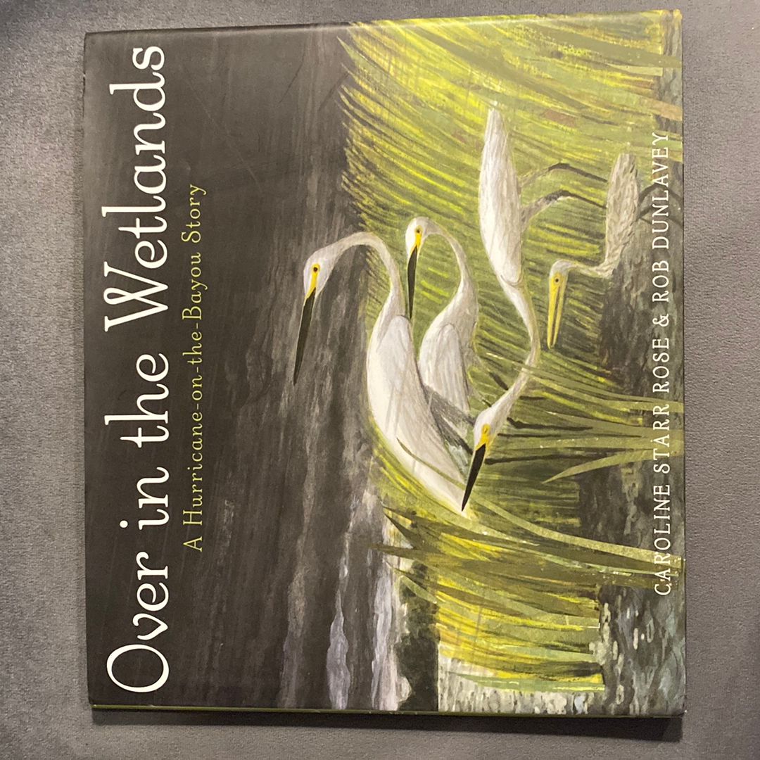 Over in the Wetlands