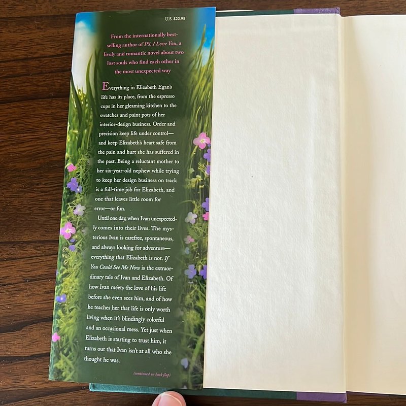 If You Could See Me Now