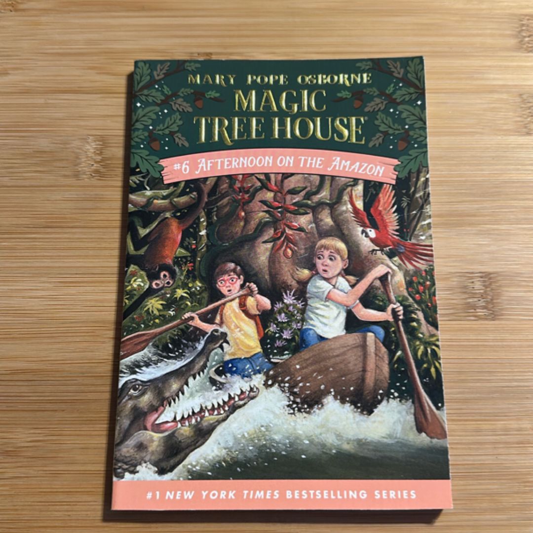 Afternoon on the Amazon