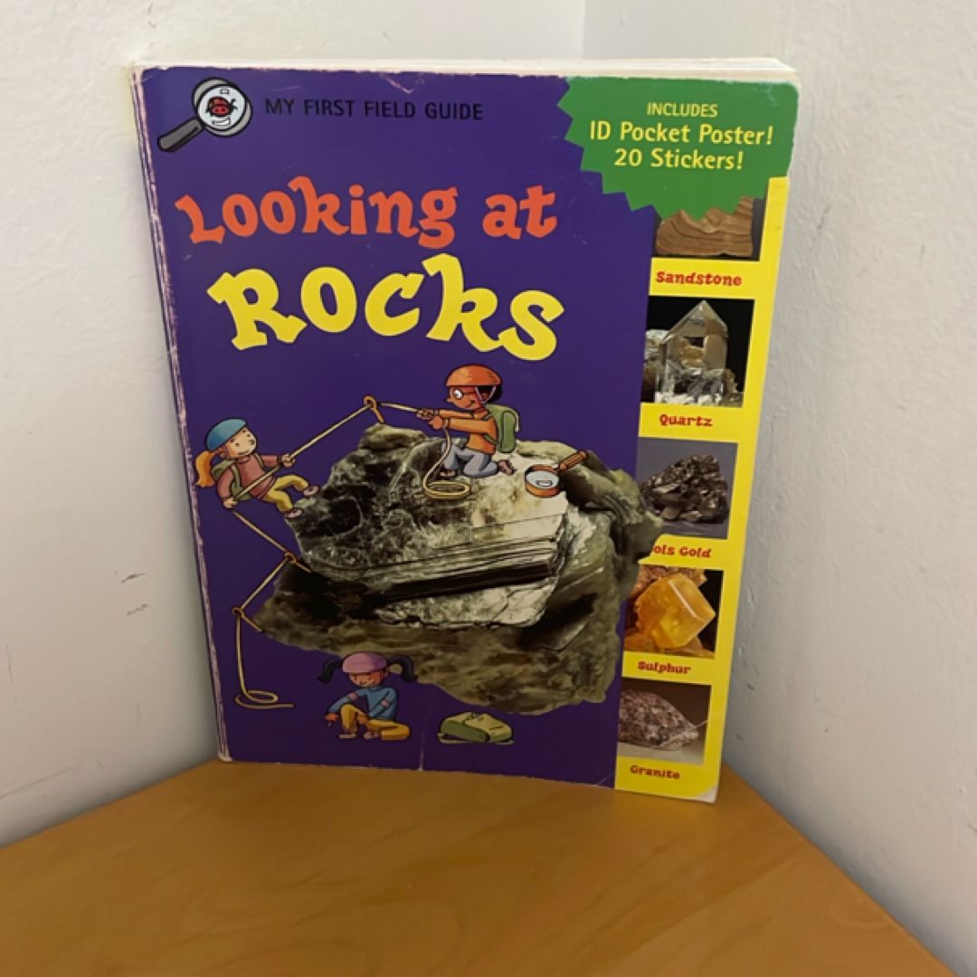 Looking at Rocks