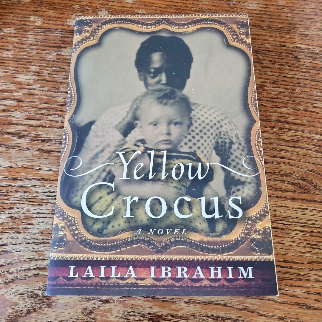 Yellow Crocus