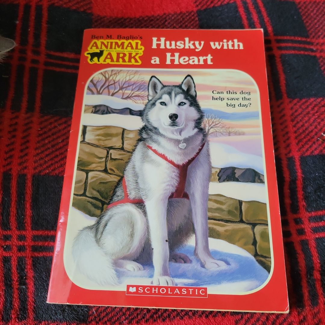 Husky with a Heart