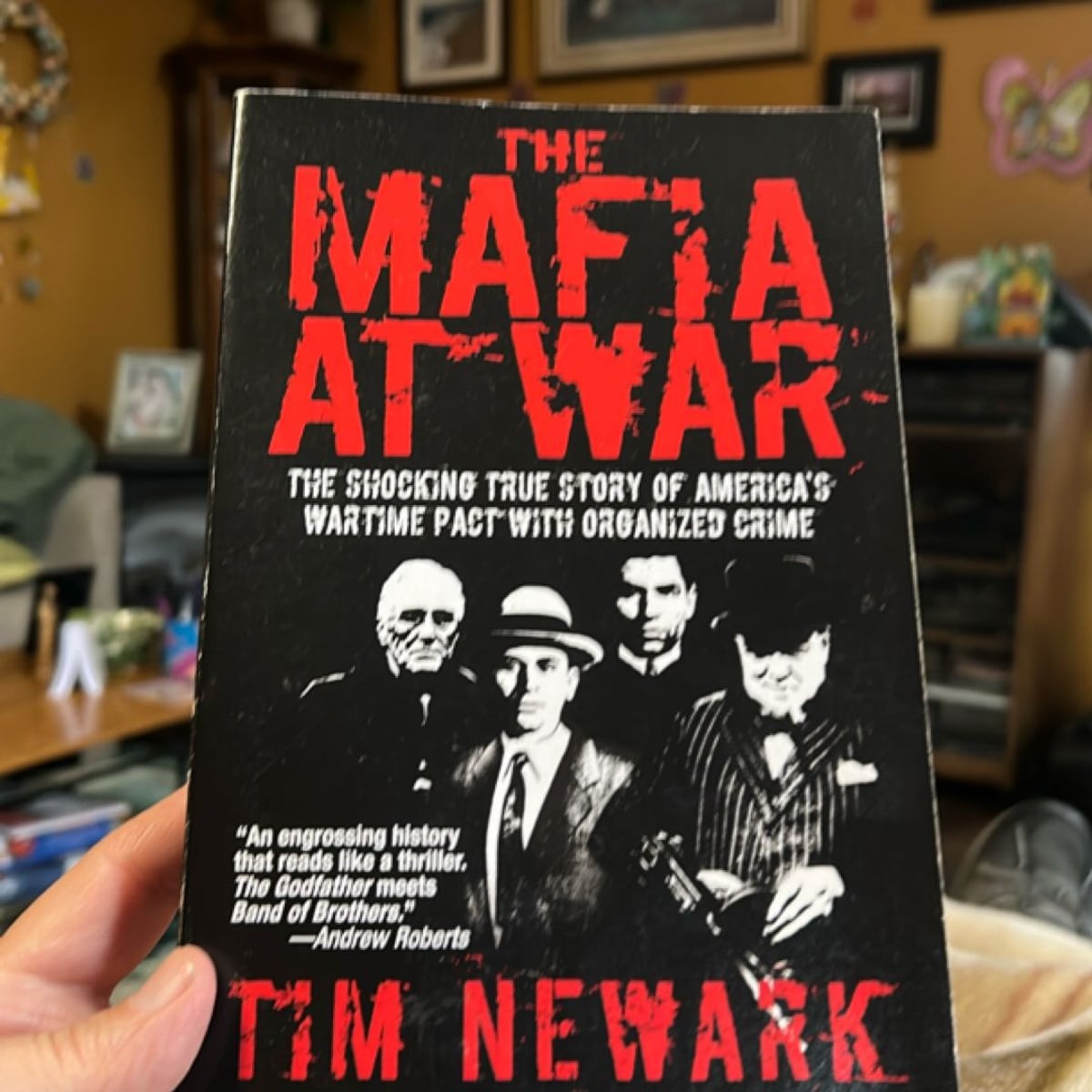 Mafia Allies by Tim Newark