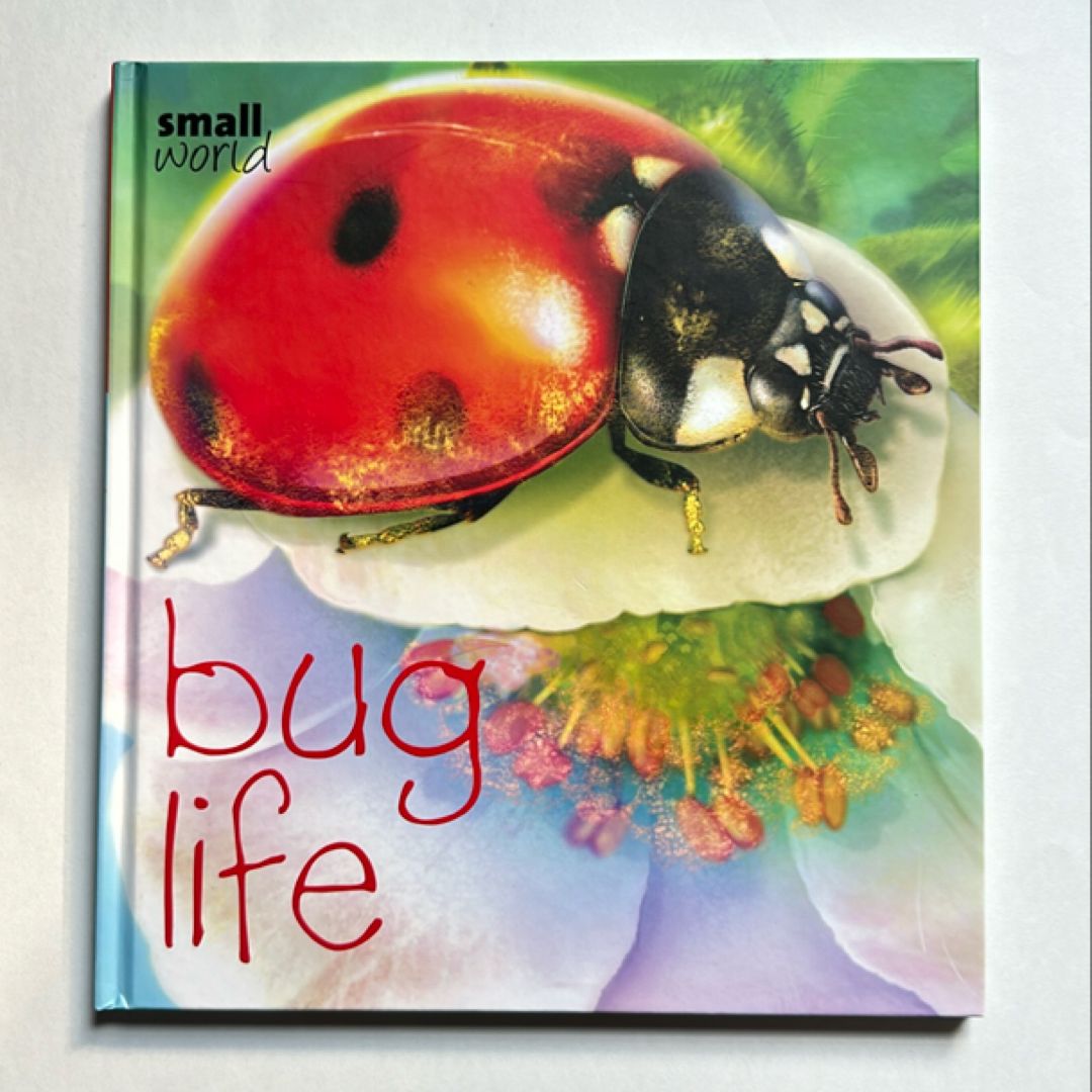 Bug Life