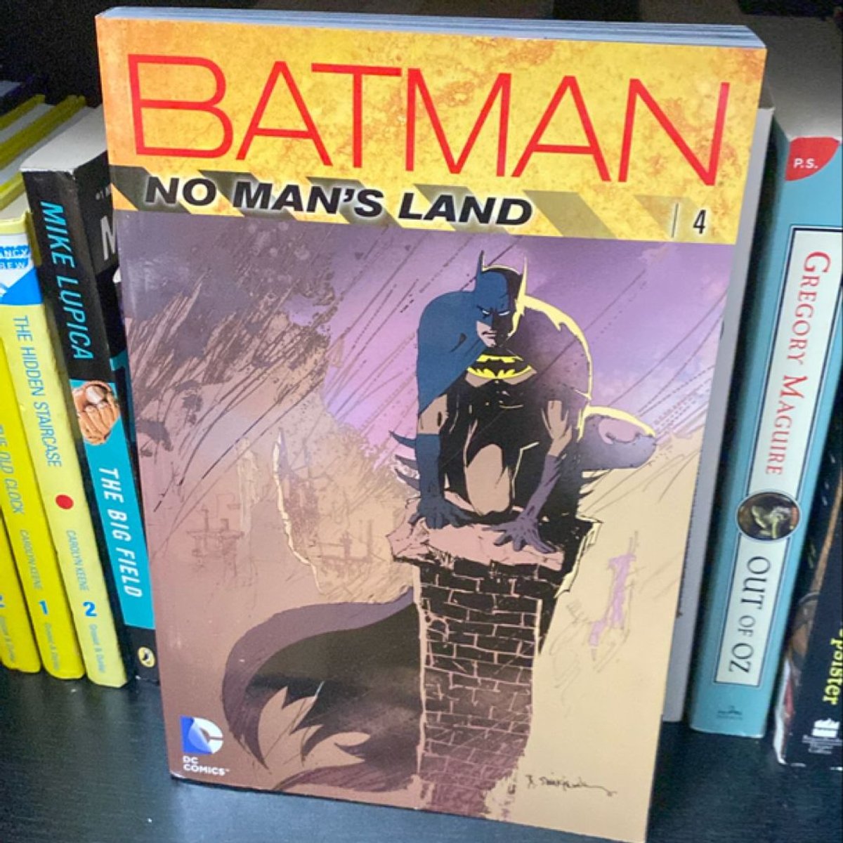 Batman: No Man's Land Vol. 4 by