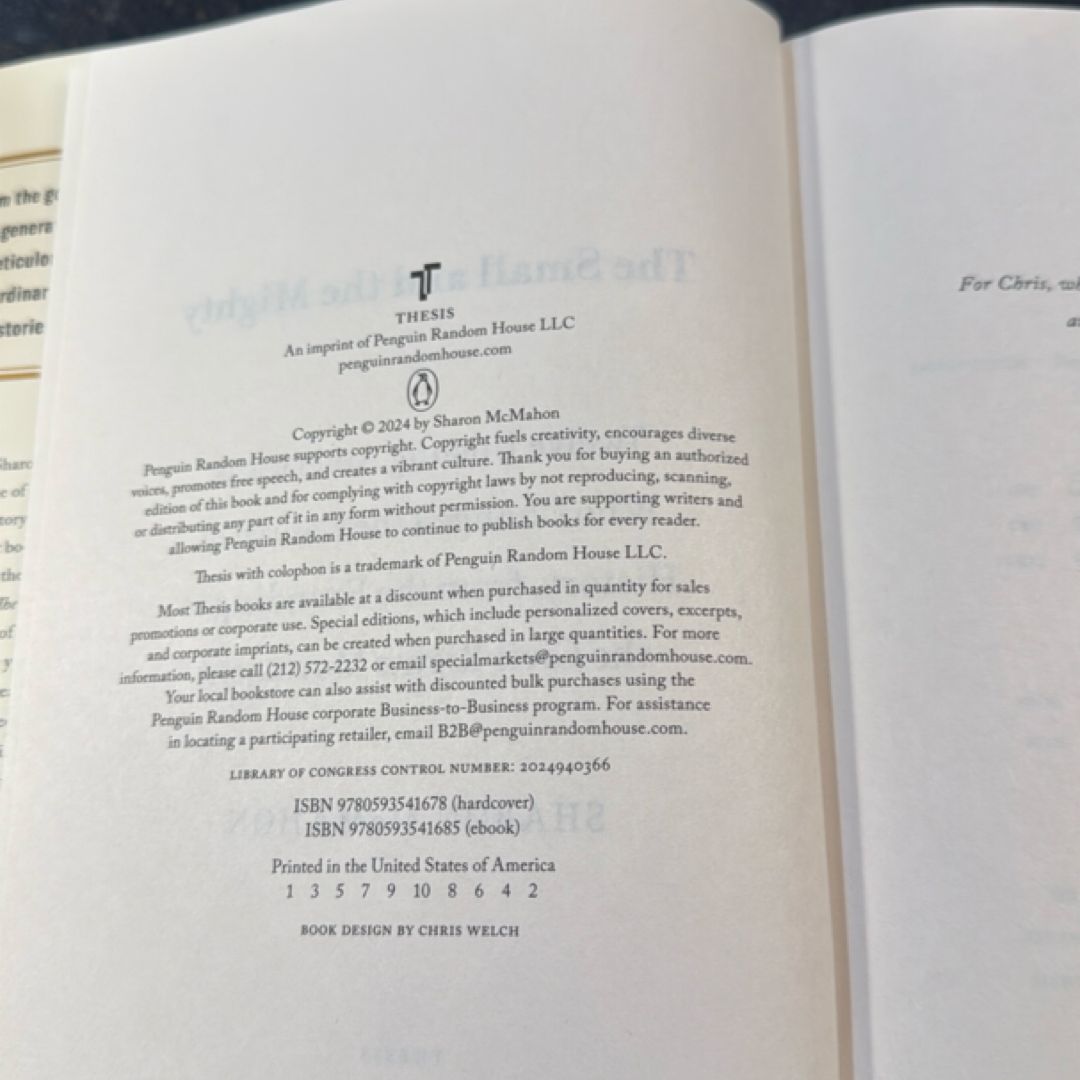 The Small and the Mighty