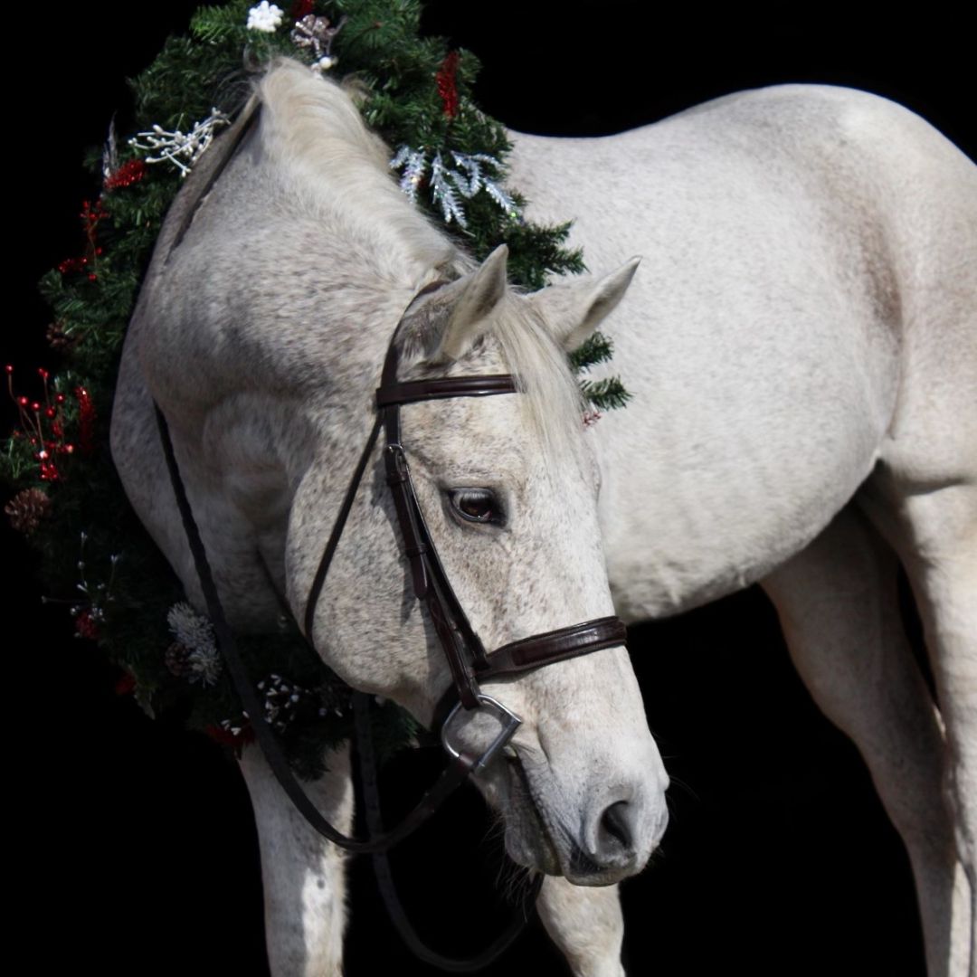 Rockin' RB's Little Library