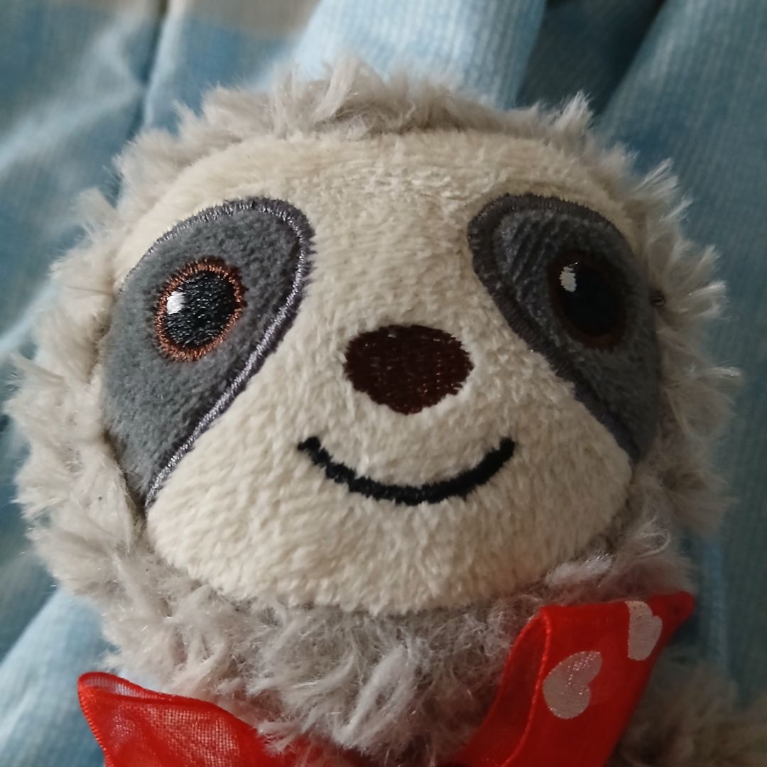 MrSlothMan