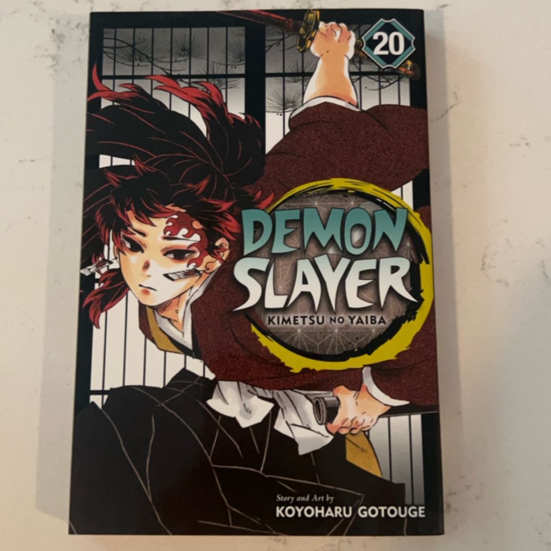Demon Slayer: Kimetsu No Yaiba, Vol. 20