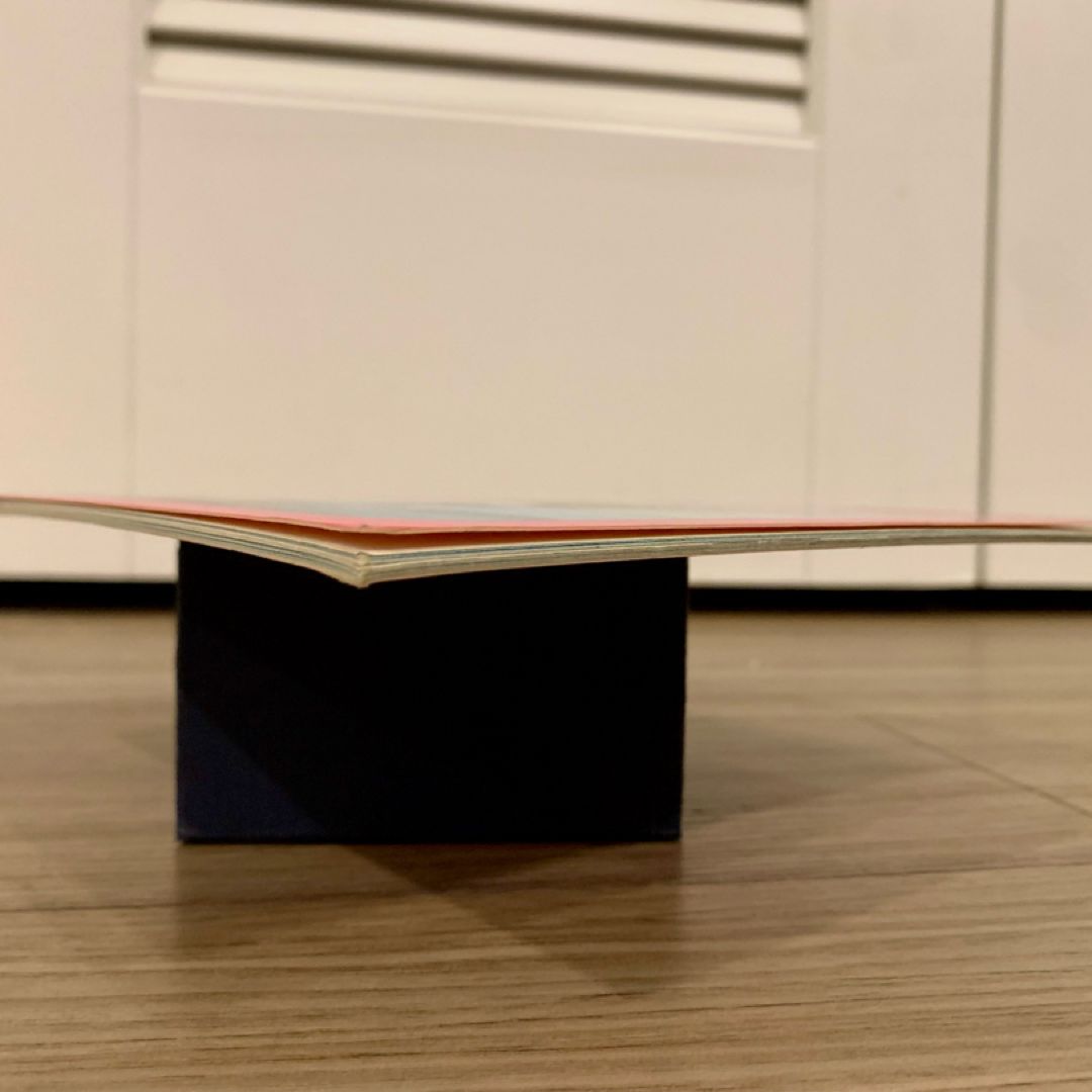 Flip the Dolphin Saves the Day