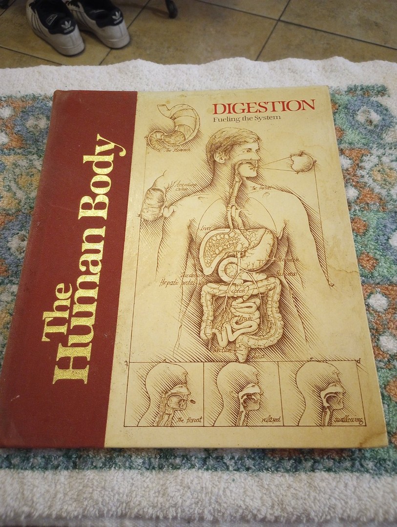 Digestion