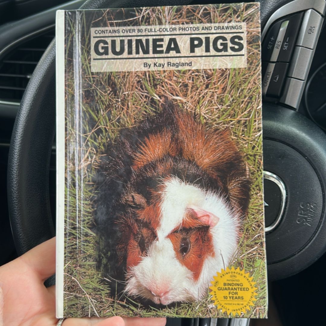 Guinea Pigs