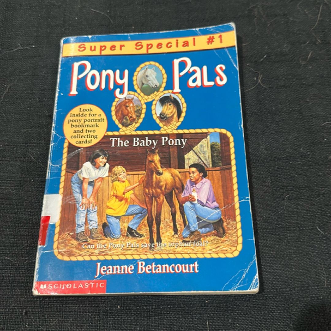 The Baby Pony