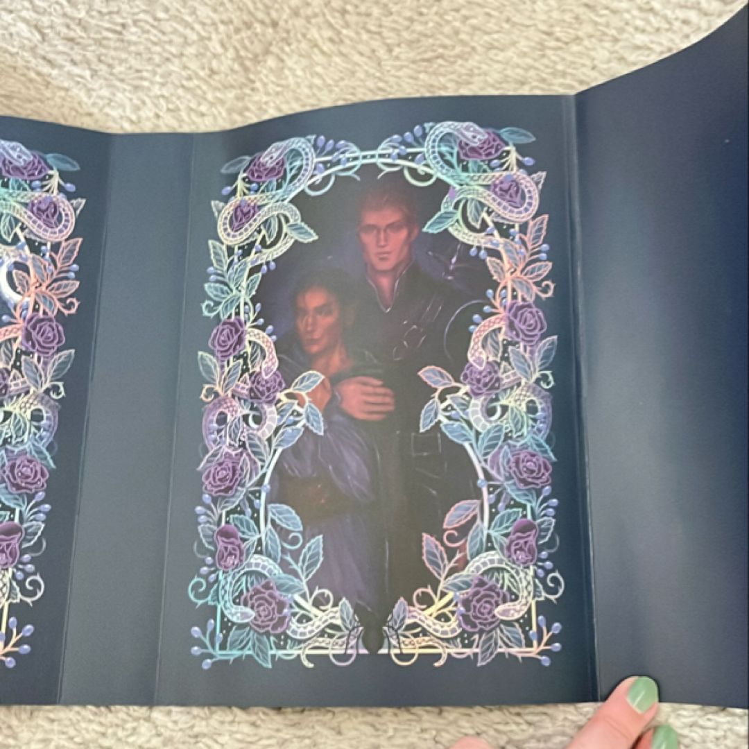 What lies beyond the Veil bookish box exclusive edition jacket