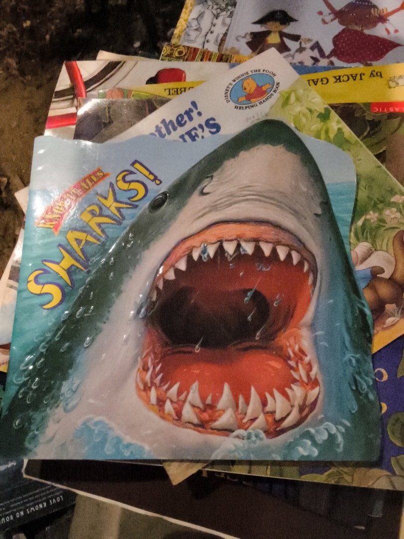 Sharks!