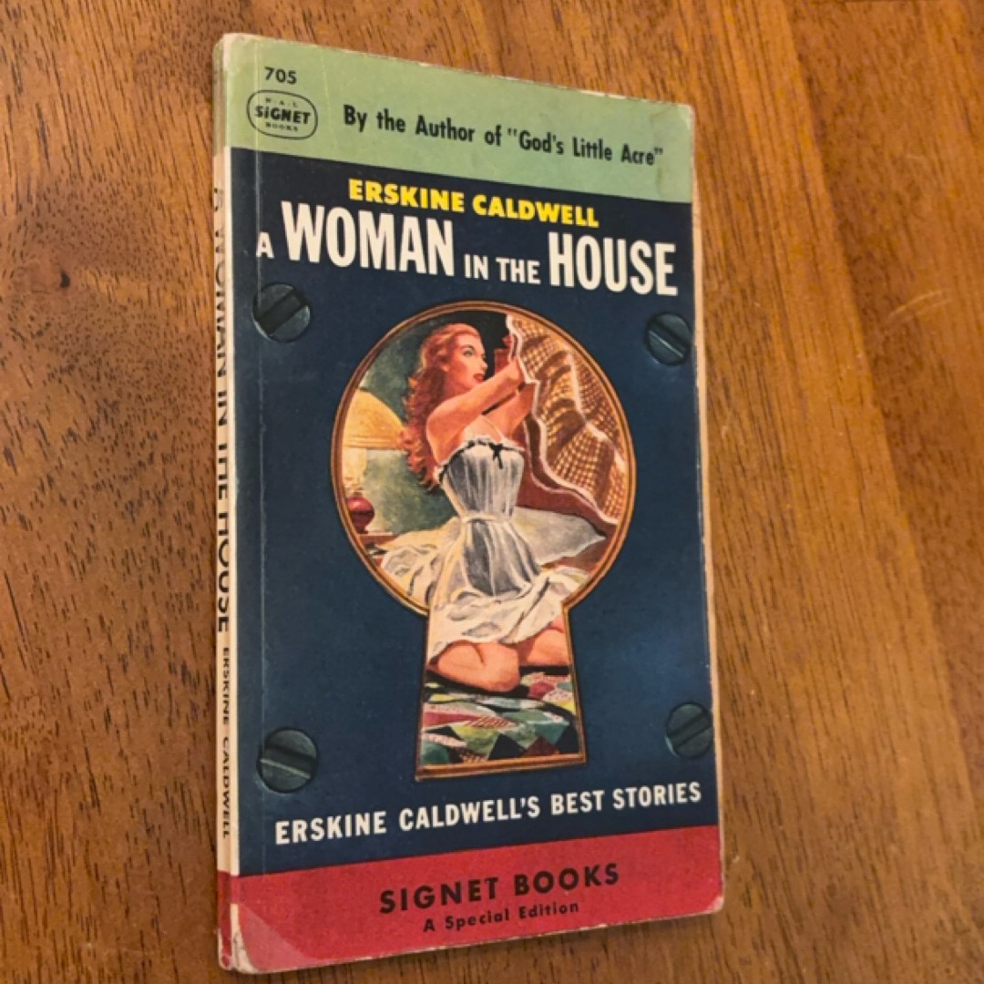 A Woman In The House