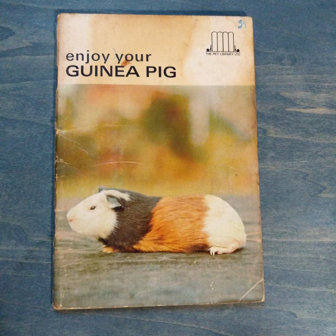 Enjoy Your Guinea Pig