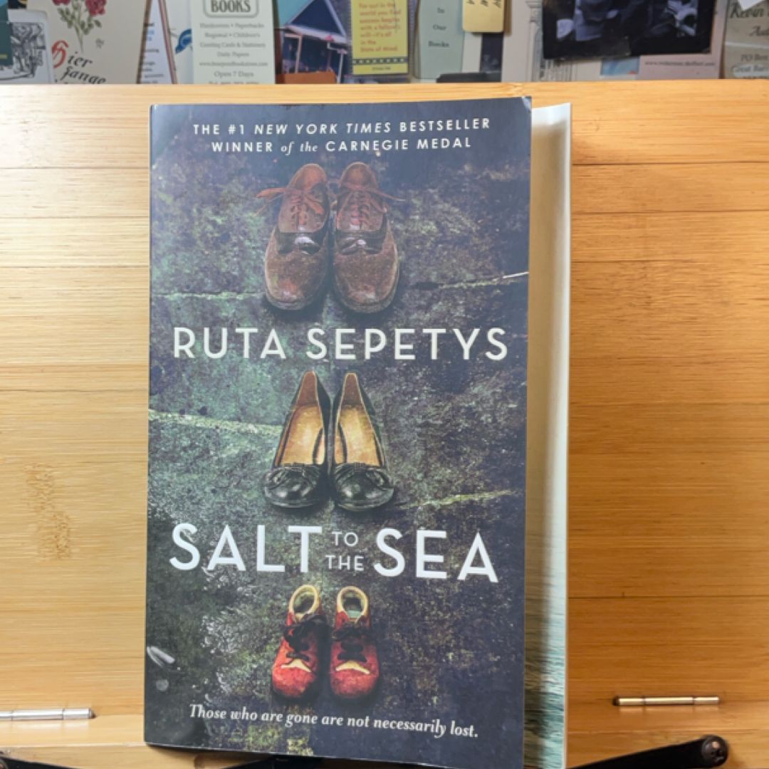 Salt to the Sea