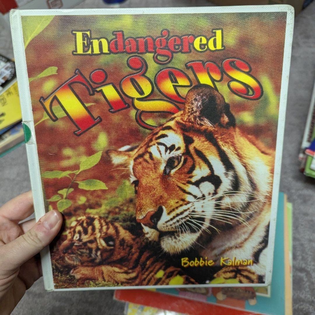 Endangered Tigers