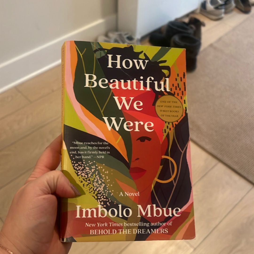 How Beautiful We Were