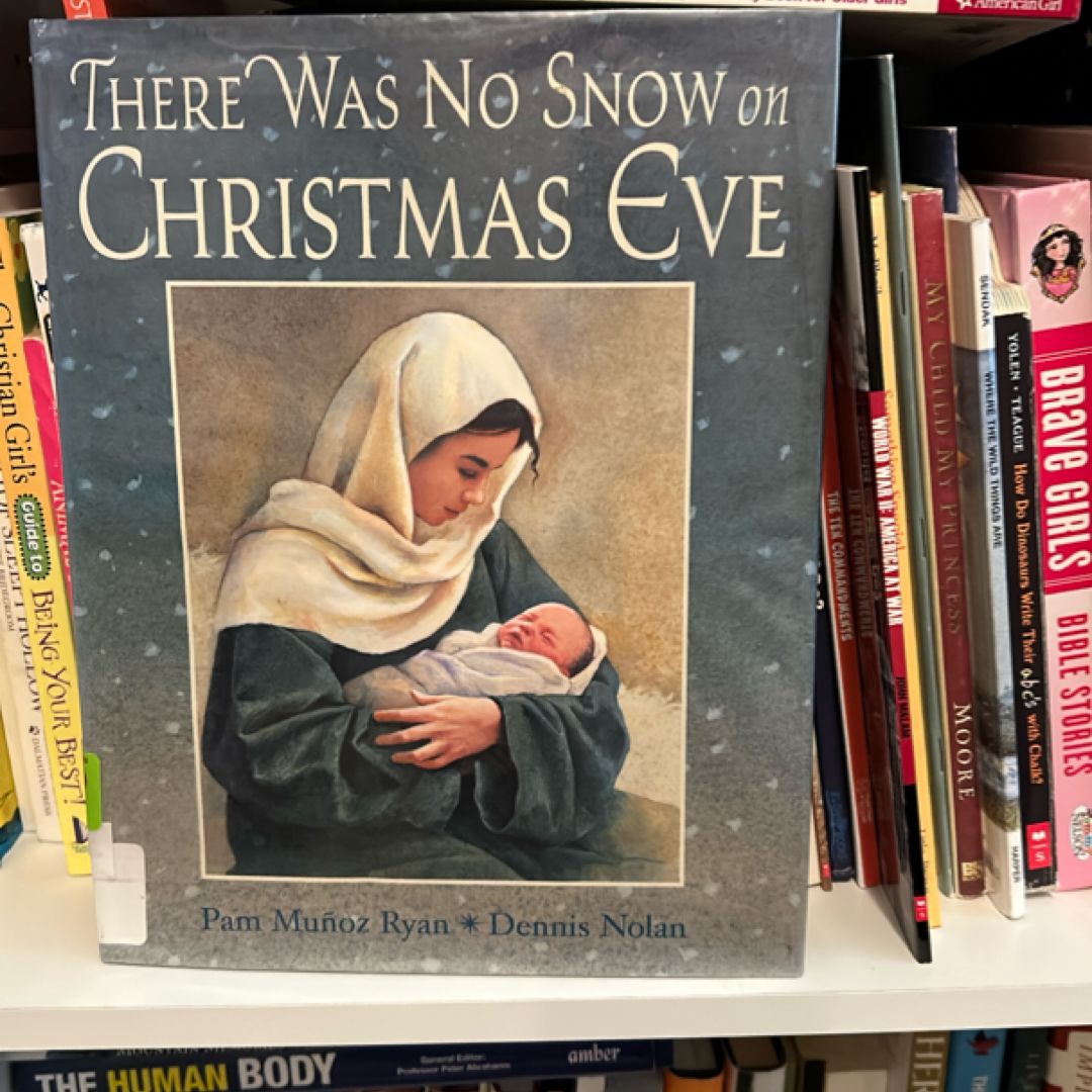 There Was No Snow on Christmas Eve