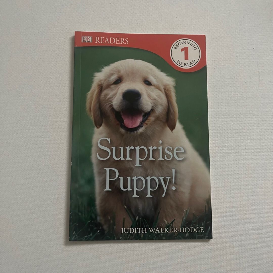 DK Readers L1: Surprise Puppy