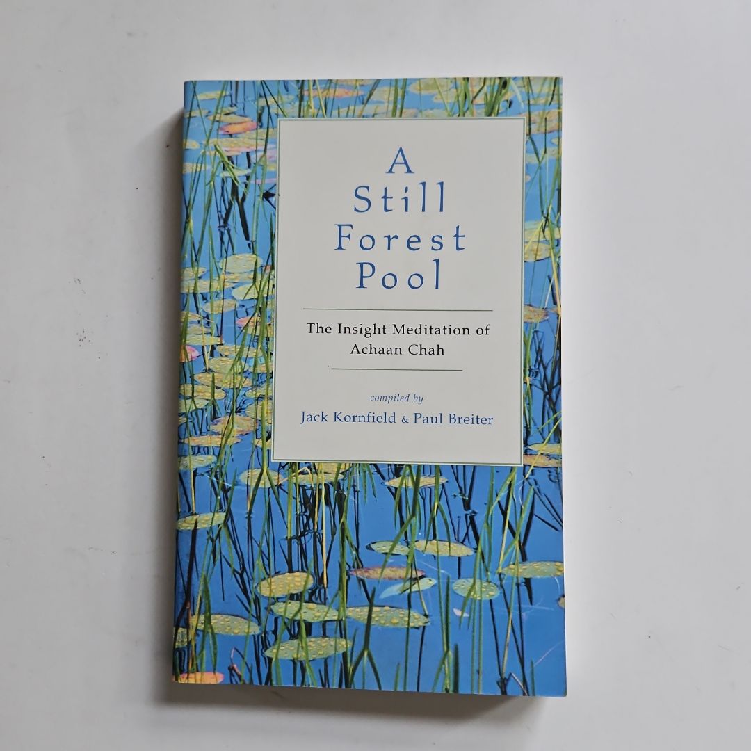 A Still Forest Pool