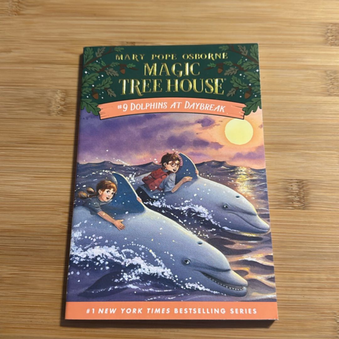 Dolphins at Daybreak