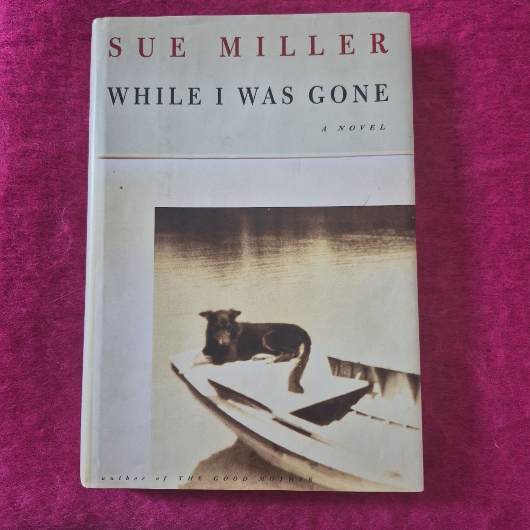 While I Was Gone