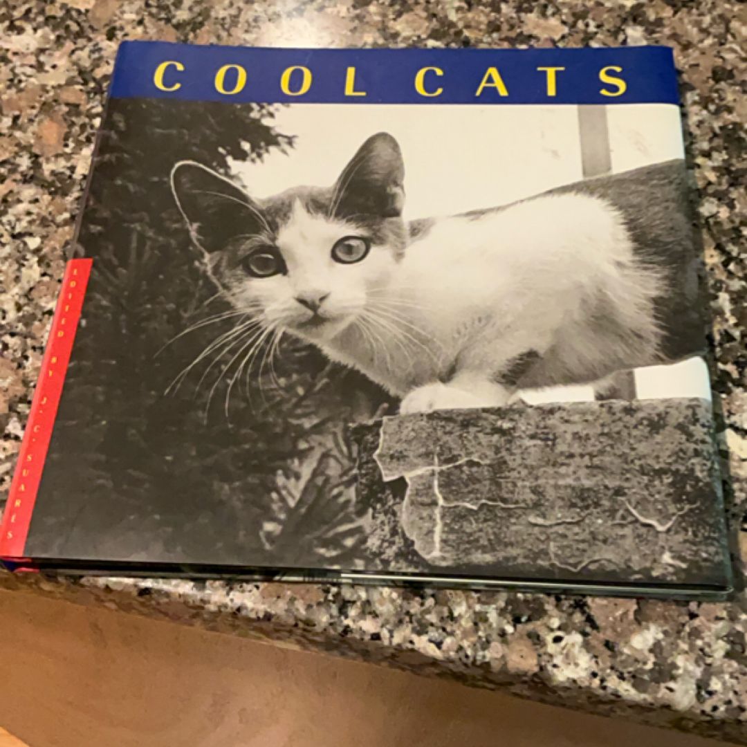 Cool Cats