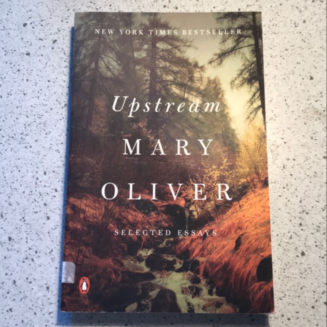 Upstream