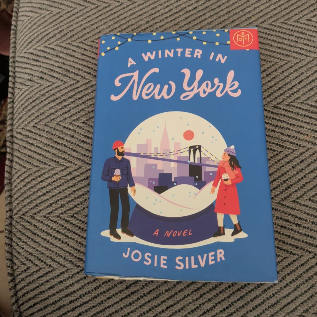 A Winter in New York