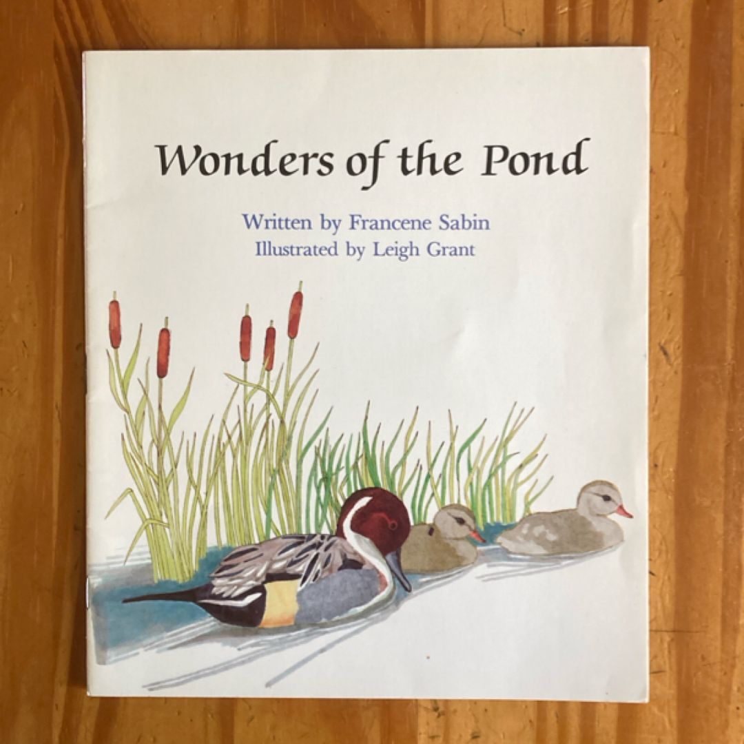 Wonders of the Pond