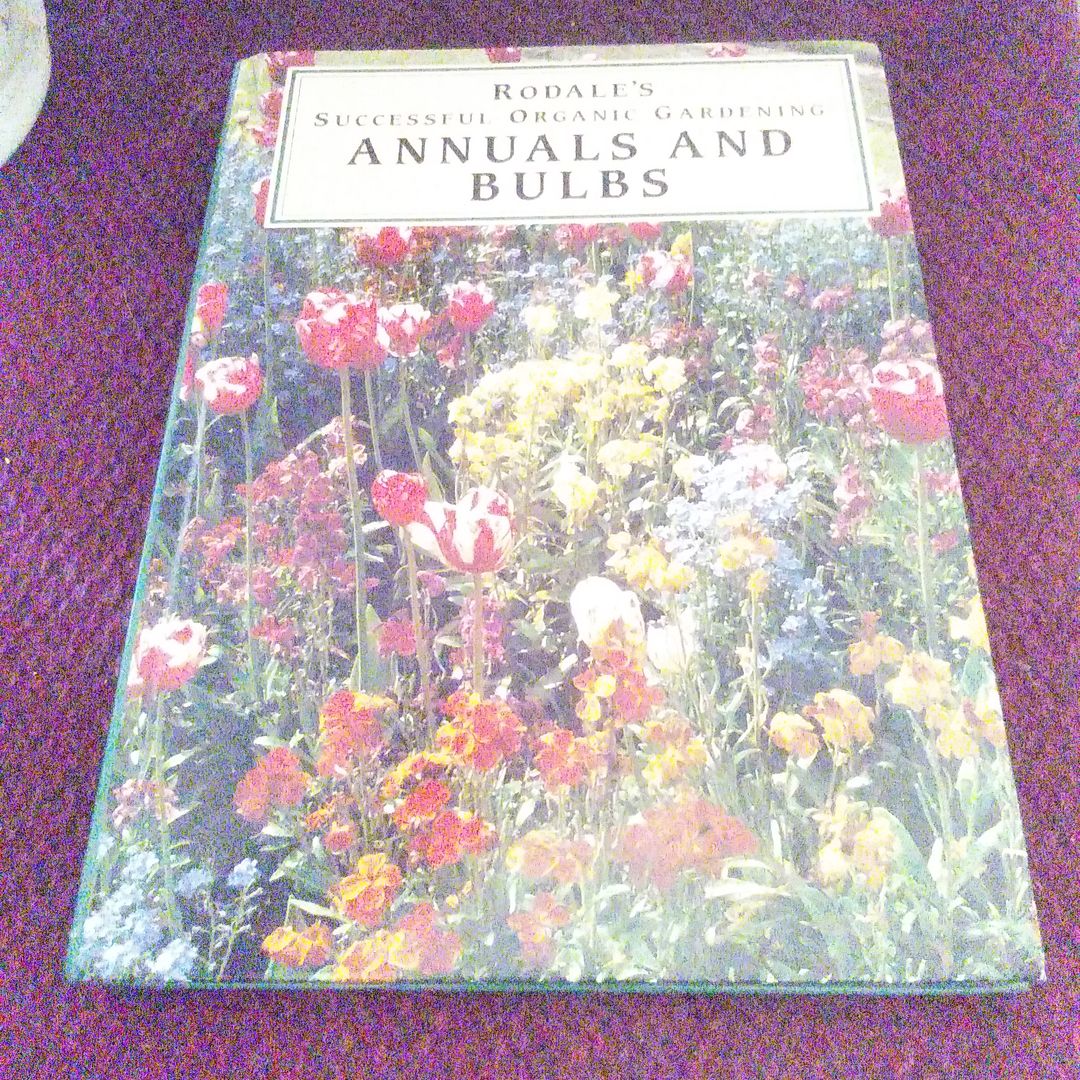 Annuals and Bulbs