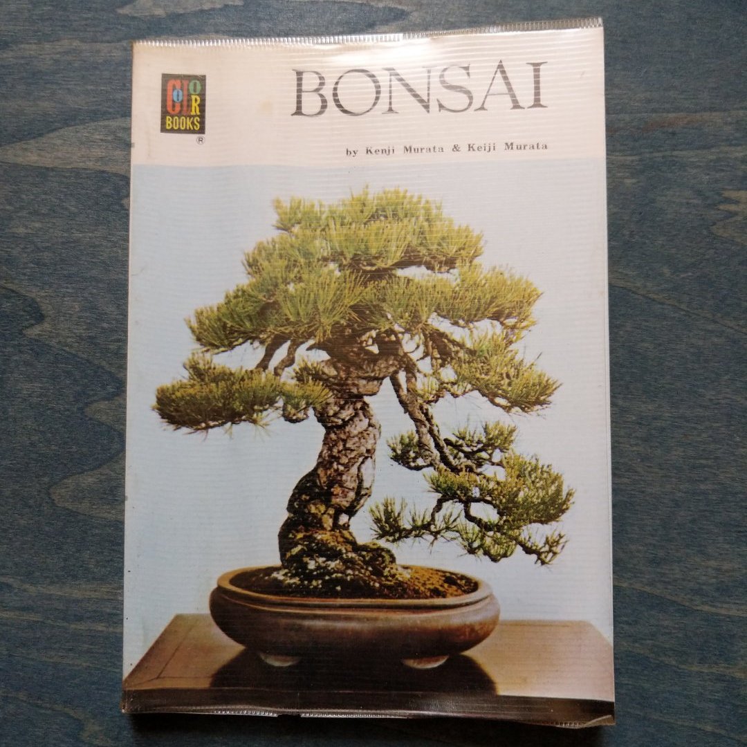 Bonsai 