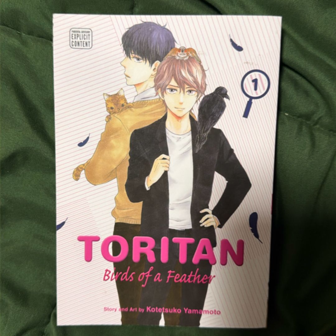 Toritan: Birds of a Feather, Vol. 1