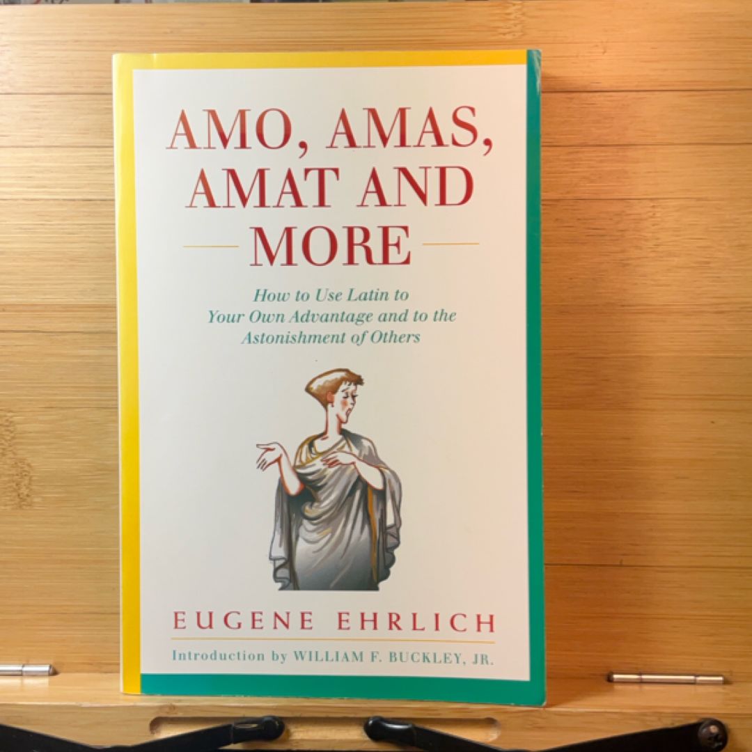 Amo, Amas, Amat and More
