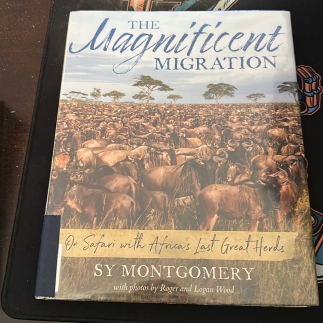 The Magnificent Migration
