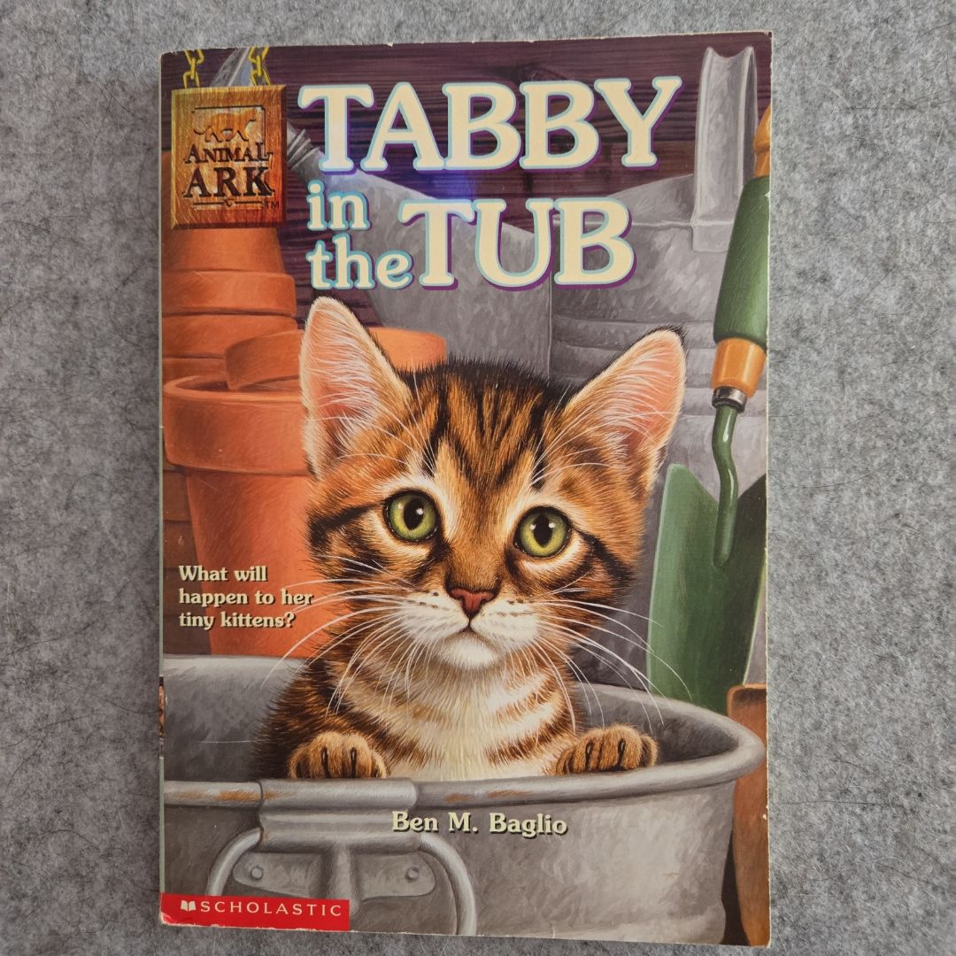 Tabby in the Tub
