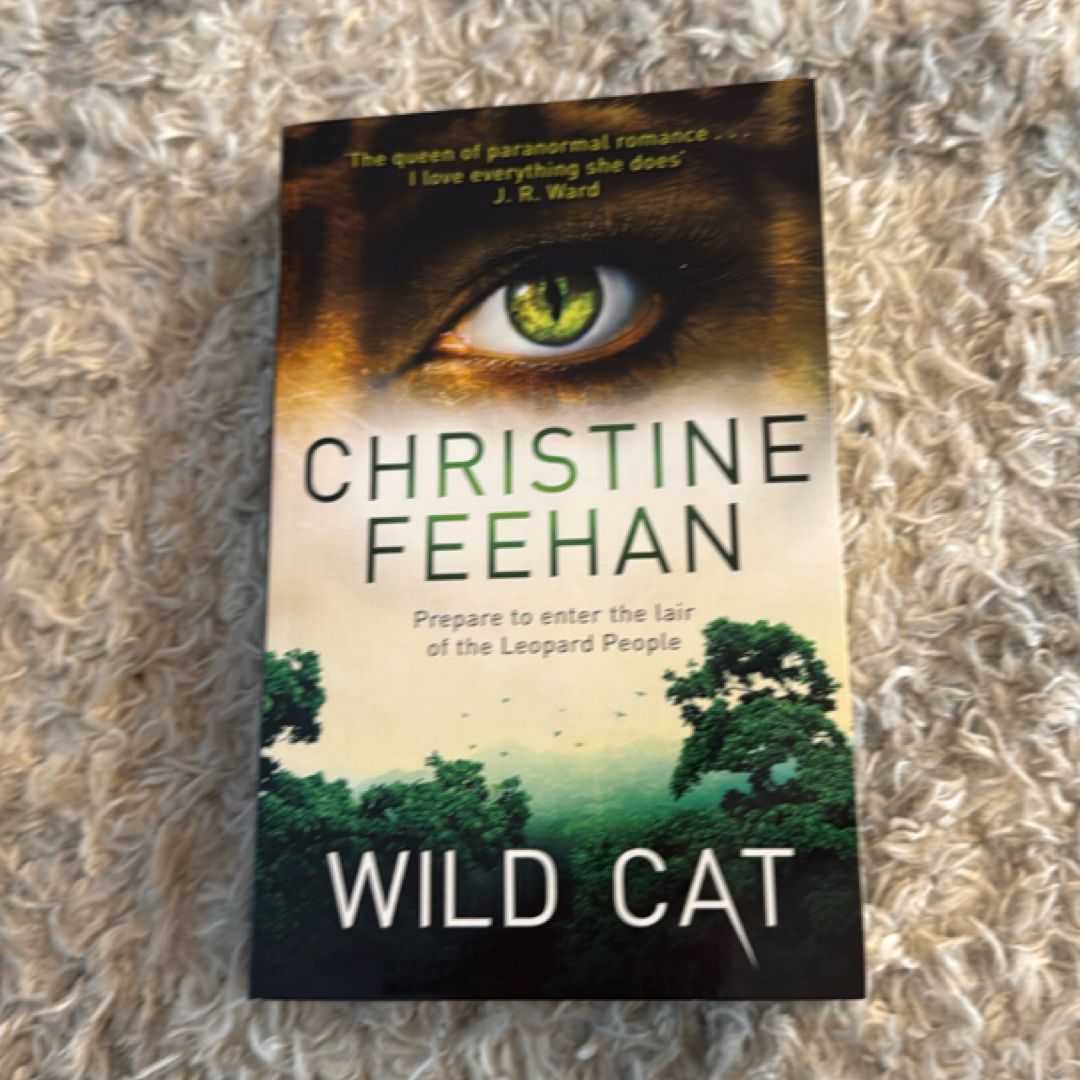 Wild Cat