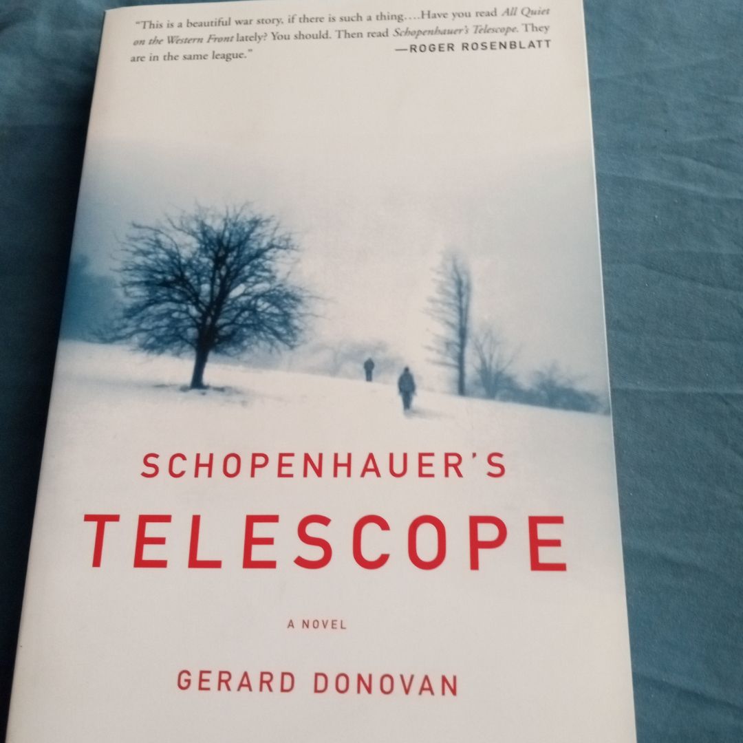 Schopenhauer's Telescope