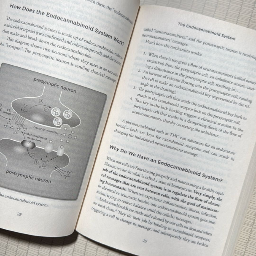 Cannabis Is Medicine