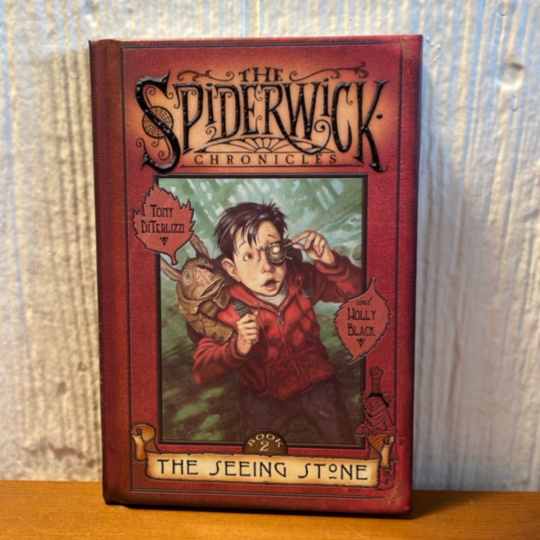 The Seeing Stone