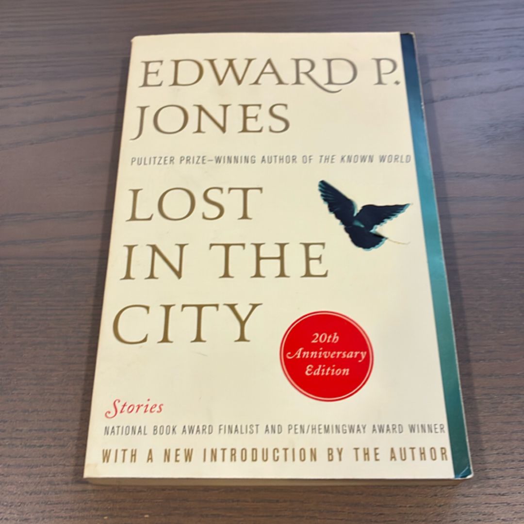 Lost in the City - 20th Anniversary Edition