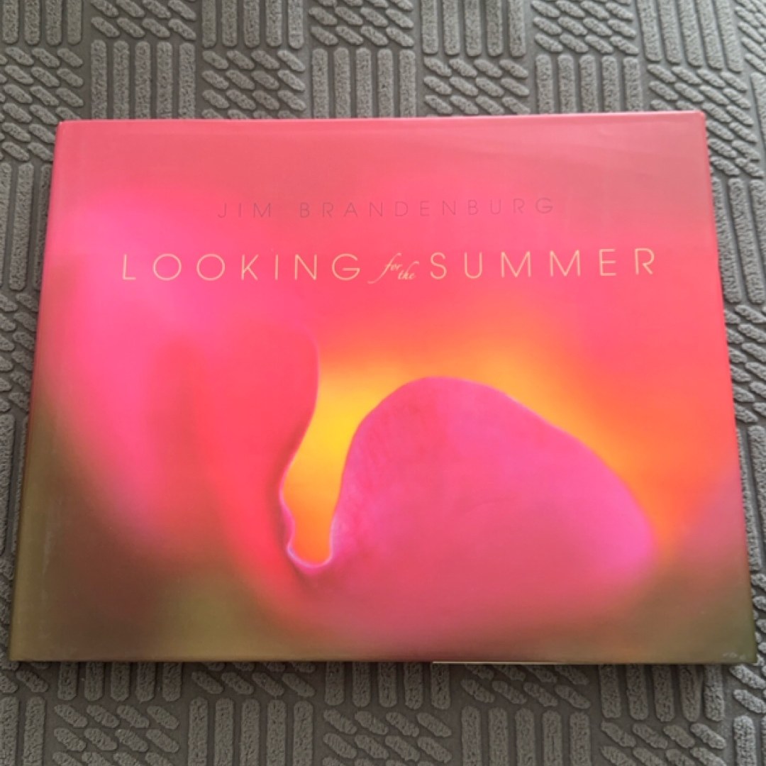 Looking for the Summer