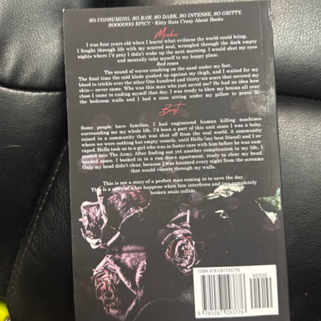 One Hundred and Thirty-Six Scars (the Devil's Own, #1)